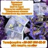 Послуги екстрасенcу . Зняття порчi. Любовний приворот.